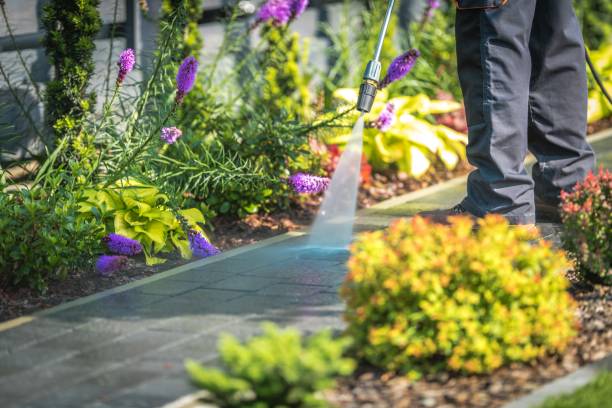 Best Sidewalk and Walkway Cleaning  in Runnemede, NJ